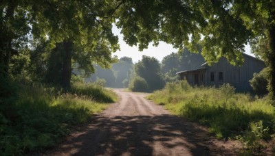 outdoors,day,tree,no humans,window,shadow,sunlight,grass,plant,building,nature,scenery,forest,road,bush,shade,house,dappled sunlight,path,sky,blue sky,tree shade