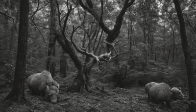 monochrome,weapon,greyscale,outdoors,tree,no humans,animal,grass,nature,scenery,forest,antlers,deer,leaf,sunlight,light rays,dark