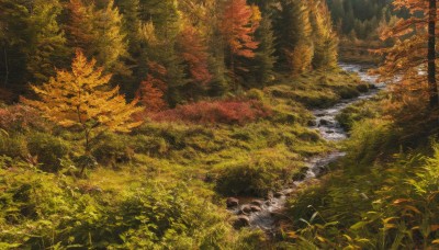 outdoors,day,water,tree,no humans,leaf,traditional media,grass,plant,nature,scenery,forest,autumn leaves,river,autumn,landscape,stream,sunlight,road