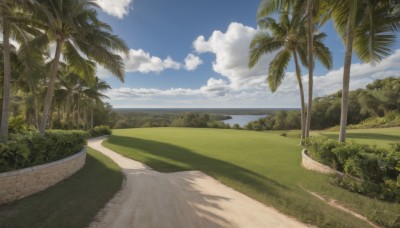 outdoors,sky,day,cloud,water,tree,blue sky,no humans,shadow,ocean,beach,cloudy sky,grass,plant,nature,scenery,sand,palm tree,horizon,road,bush,shade,summer,path,forest,landscape,shore