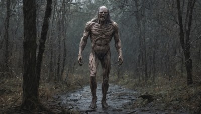 solo,open mouth,1boy,standing,full body,male focus,outdoors,teeth,tree,muscular,abs,muscular male,nature,forest,walking,veins,monster,realistic,ribs,bare tree,horror (theme),nude,blood,rain,bald