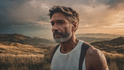 solo,short hair,shirt,black hair,1boy,bare shoulders,white shirt,upper body,male focus,outdoors,sky,sleeveless,cloud,bag,sleeveless shirt,facial hair,scar,backpack,cloudy sky,tank top,beard,scar on face,mountain,realistic,mustache,field,white tank top,looking at viewer,closed mouth,muscular,manly