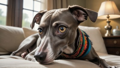 HQ,solo,looking at viewer,jewelry,yellow eyes,lying,day,indoors,necklace,blurry,pillow,no humans,window,bed,depth of field,blurry background,animal,on bed,on stomach,curtains,couch,realistic,lamp,animal focus,animal ears,earrings,piercing,ear piercing,dog