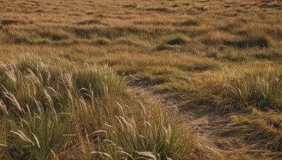 outdoors,water,no humans,traditional media,grass,nature,scenery,field,sky,from above