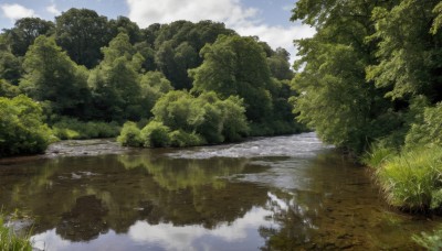 outdoors,sky,day,cloud,signature,water,tree,blue sky,no humans,sunlight,cloudy sky,grass,nature,scenery,forest,reflection,bush,river,landscape,puddle,reflective water,lake