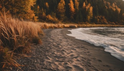 outdoors,day,water,tree,no humans,traditional media,grass,nature,scenery,forest,road,river,path,sky,beach,sunset,sand,waves,shore