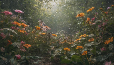 flower, outdoors, wings, tree, no humans, leaf, bug, plant, nature, scenery, rain