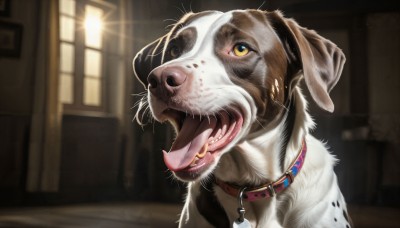 HQ,solo,open mouth,yellow eyes,teeth,tongue,indoors,tongue out,blurry,collar,no humans,blurry background,animal,fangs,looking up,dog,realistic,door,animal focus,animal collar,window,night,depth of field,red collar