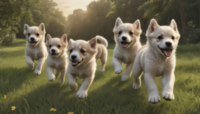 looking at viewer,open mouth,blue eyes,flower,outdoors,day,tongue,tongue out,black eyes,tree,no humans,animal,sunlight,grass,nature,scenery,dog,realistic,animal focus,shiba inu,sky,signature,forest