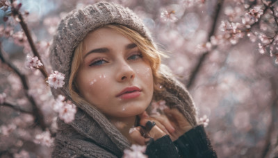 1girl, solo, looking at viewer, blue eyes, blonde hair, jewelry, flower, parted lips, hood, lips, eyelashes, ring, cherry blossoms, portrait, freckles, realistic, nose