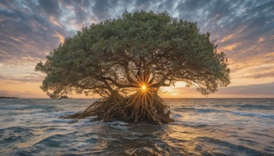 outdoors,sky,cloud,water,tree,no humans,ocean,beach,sunlight,cloudy sky,nature,scenery,sunset,sand,palm tree,sun,horizon,waves,shore,plant