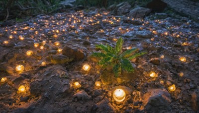 outdoors,water,tree,no humans,night,glowing,leaf,from above,traditional media,plant,nature,scenery,forest,lantern,rock,light,river,stone,moss