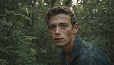 solo,looking at viewer,short hair,blue eyes,brown hair,shirt,black hair,1boy,jewelry,closed mouth,jacket,upper body,male focus,earrings,outdoors,blurry,tree,wet,blurry background,leaf,plant,denim,portrait,nature,realistic,branch,denim jacket,day,necklace,depth of field,expressionless,blue jacket,forest,undercut