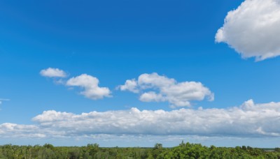 outdoors,sky,day,cloud,tree,blue sky,no humans,cloudy sky,grass,nature,scenery,forest,summer,landscape,ocean,horizon,field