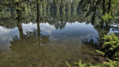 outdoors,sky,day,cloud,water,tree,no humans,leaf,sunlight,grass,plant,nature,scenery,forest,reflection,river,landscape,cloudy sky,lake