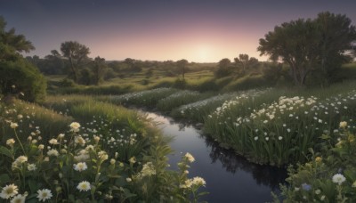 flower,outdoors,sky,cloud,water,tree,no humans,night,grass,plant,white flower,star (sky),nature,scenery,starry sky,reflection,sunset,field,river,evening,landscape,lake,gradient sky,night sky,forest,twilight,reflective water