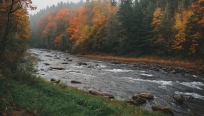 outdoors,day,water,tree,no humans,leaf,sunlight,grass,nature,scenery,forest,rock,autumn leaves,river,autumn,landscape,stream,sky,snow