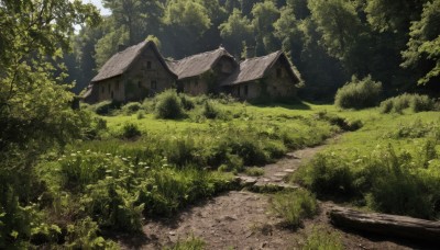 outdoors,sky,day,tree,no humans,grass,plant,building,nature,scenery,forest,road,bush,architecture,house,east asian architecture,path