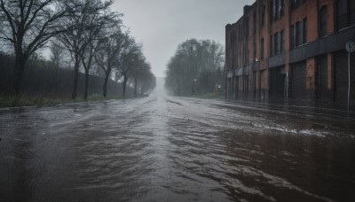 outdoors,sky,day,cloud,tree,no humans,cloudy sky,grass,building,scenery,rain,sign,road,bush,lamppost,bare tree,street,road sign,fog,grey sky,overcast,water,puddle