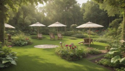 flower,outdoors,day,tree,no humans,umbrella,chair,table,sunlight,grass,plant,nature,scenery,forest,bush,parasol,path,garden,shade,tree stump