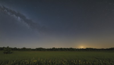 outdoors,sky,cloud,tree,no humans,night,grass,star (sky),nature,night sky,scenery,forest,starry sky,sunset,sun,field,flower,landscape