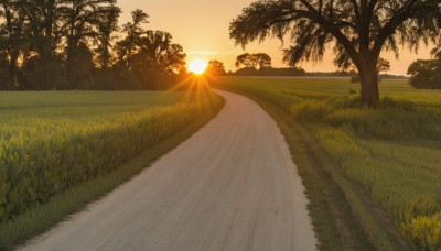 outdoors,sky,cloud,tree,no humans,sunlight,grass,nature,scenery,forest,sunset,sun,road,bush,field,orange sky,path,yellow sky,plant,landscape