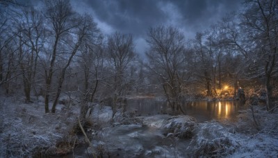 outdoors,sky,cloud,tree,no humans,night,cloudy sky,grass,fire,building,nature,night sky,scenery,snow,forest,dark,winter,bare tree,landscape,rock,road,path