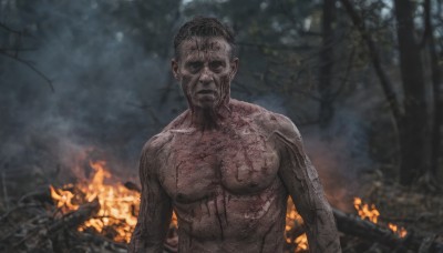 solo,looking at viewer,short hair,black hair,1boy,closed mouth,upper body,male focus,outdoors,blurry,black eyes,tree,blood,muscular,blurry background,facial hair,scar,fire,pectorals,nature,forest,veins,burning,holding,nipples,weapon,nude,holding weapon,beard,topless male