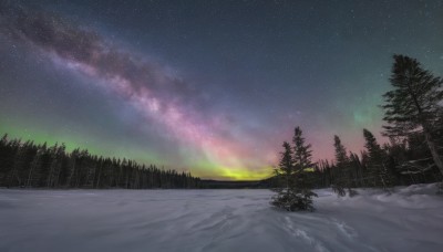 outdoors,sky,cloud,tree,no humans,night,star (sky),nature,night sky,scenery,snow,forest,starry sky,mountain,winter,landscape,pine tree,aurora,milky way,sunset,snowing,bare tree,gradient sky,sunrise