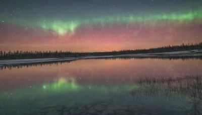 outdoors,sky,cloud,water,tree,no humans,night,grass,star (sky),nature,night sky,scenery,forest,starry sky,reflection,road,river,lake,path,reflective water,aurora,milky way