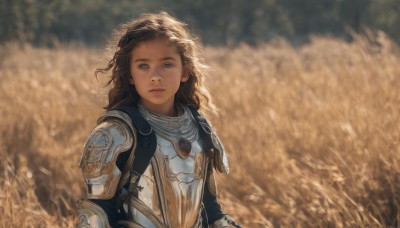 1girl,solo,long hair,looking at viewer,blue eyes,brown hair,closed mouth,upper body,outdoors,armor,blurry,lips,blurry background,wavy hair,expressionless,grass,shoulder armor,curly hair,pauldrons,breastplate,realistic,nose,chainmail,plate armor,day,sunlight,wind,forehead,field