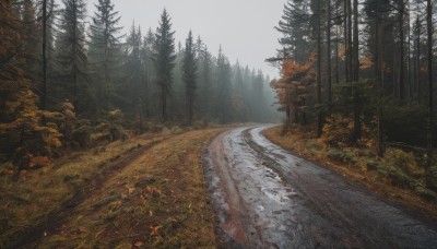 outdoors,sky,day,tree,dutch angle,no humans,grass,nature,scenery,forest,road,landscape,path,cloud,leaf,mountain,autumn leaves,river,autumn