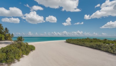 outdoors,sky,day,cloud,water,tree,blue sky,no humans,ocean,beach,cloudy sky,plant,nature,scenery,sand,palm tree,horizon,road,bush,summer,shore,grass,forest