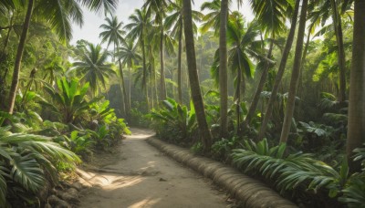 outdoors,day,tree,no humans,shadow,leaf,beach,sunlight,grass,plant,nature,scenery,forest,sand,palm tree,bush,shade,sky,cloud,blue sky,cloudy sky,road,landscape,path