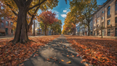 outdoors, sky, day, cloud, tree, blue sky, dutch angle, no humans, window, leaf, building, scenery, city, road, autumn leaves, lamppost, street, autumn, vanishing point