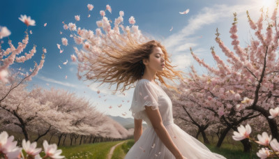 1girl, solo, long hair, brown hair, dress, closed eyes, flower, short sleeves, outdoors, sky, day, cloud, white dress, blurry, from side, tree, blue sky, lips, petals, floating hair, grass, cherry blossoms, wind, scenery, realistic