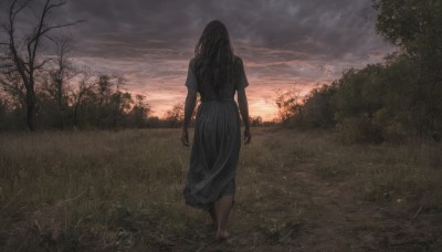 1girl,solo,long hair,skirt,shirt,black hair,dress,standing,short sleeves,outdoors,sky,barefoot,cloud,black skirt,from behind,tree,black shirt,cloudy sky,grass,nature,scenery,forest,walking,sunset,long skirt,arms at sides,facing away,white shirt,dirty,bare tree,dirty feet