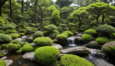 outdoors,day,water,tree,no humans,grass,nature,scenery,forest,rock,river,waterfall,moss,stream,sunlight,bush,green theme,landscape