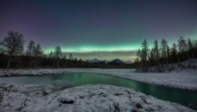 outdoors,sky,cloud,signature,water,tree,no humans,night,grass,star (sky),nature,night sky,scenery,snow,forest,starry sky,reflection,rock,mountain,winter,bare tree,river,landscape,lake,pine tree,aurora