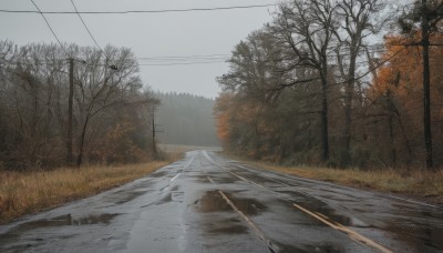 outdoors,sky,day,cloud,tree,no humans,cloudy sky,grass,nature,scenery,forest,road,power lines,bare tree,street,utility pole,grey sky,path,ground vehicle,realistic,fence