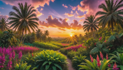 flower, outdoors, sky, cloud, tree, no humans, sunlight, cloudy sky, grass, plant, nature, scenery, sunset, palm tree, sun, horizon