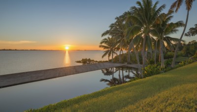 flower,outdoors,sky,day,cloud,water,tree,blue sky,no humans,ocean,beach,sunlight,grass,plant,nature,scenery,sunset,palm tree,sun,horizon,shore,reflection,sand,bush,evening,gradient sky