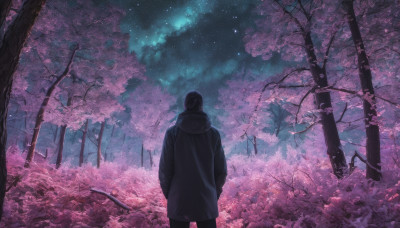 solo, black hair, 1boy, standing, jacket, male focus, outdoors, sky, hood, from behind, tree, coat, night, black pants, hood down, cherry blossoms, star (sky), nature, night sky, scenery, starry sky, hands in pockets