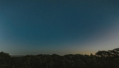 outdoors,sky,tree,no humans,night,grass,star (sky),nature,night sky,scenery,forest,starry sky,gradient sky,star (symbol)