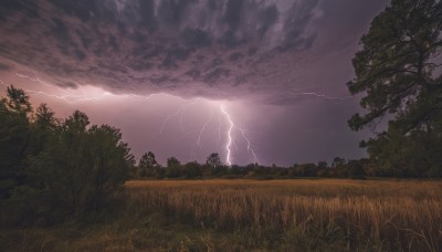 outdoors,sky,cloud,tree,no humans,cloudy sky,grass,nature,scenery,forest,electricity,lightning,horizon,field,landscape