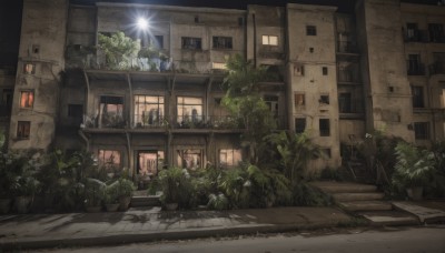 flower,outdoors,sky,tree,no humans,window,night,grass,plant,building,scenery,stairs,city,door,potted plant,light,road,bush,house,lamppost,street,sunlight