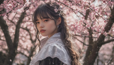 1girl, solo, long hair, looking at viewer, bangs, black hair, jewelry, upper body, flower, earrings, outdoors, parted lips, day, mole, blurry, black eyes, tree, lips, mole under eye, blurry background, cherry blossoms, freckles, realistic