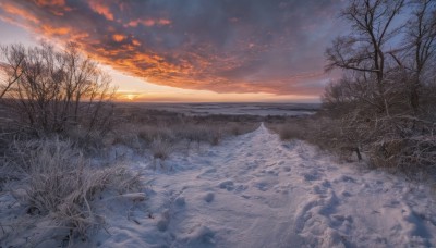 outdoors,sky,cloud,tree,blue sky,no humans,sunlight,cloudy sky,nature,scenery,snow,forest,sunset,mountain,sun,horizon,winter,bare tree,landscape,sunrise,footprints,water,dutch angle,ocean,reflection,ice,shore