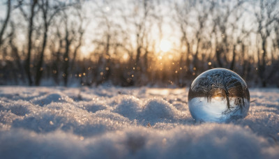 outdoors, sky, blurry, tree, no humans, depth of field, nature, scenery, snow, bare tree, orb, bokeh