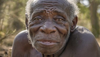 solo,looking at viewer,1boy,brown eyes,white hair,grey hair,male focus,outdoors,parted lips,teeth,blurry,tree,blurry background,facial hair,portrait,beard,realistic,bald,old,old man,wrinkled skin,short hair,upper body,nude,day,sunlight,close-up